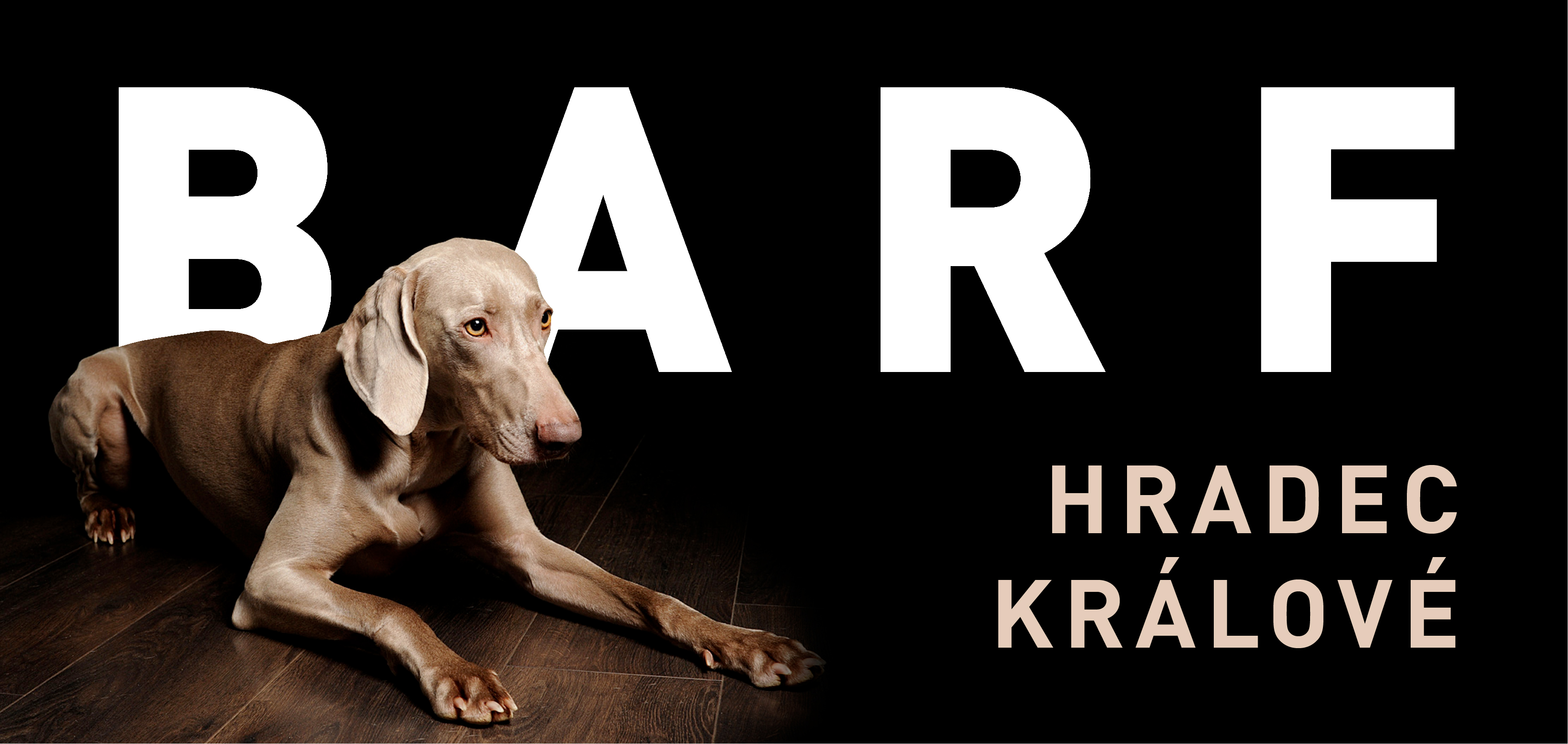 Vítá Vás BEST BARF Hradec Králové – prodejna mraženého masa, kvalitních granulí a doplňků pro psy a kočky